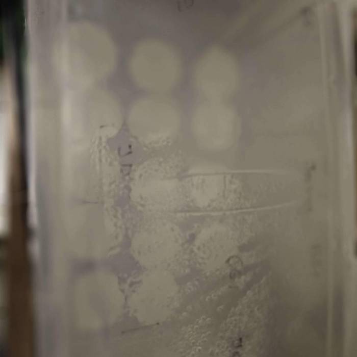 Solfire Gardens Giggle Gas. Week 0