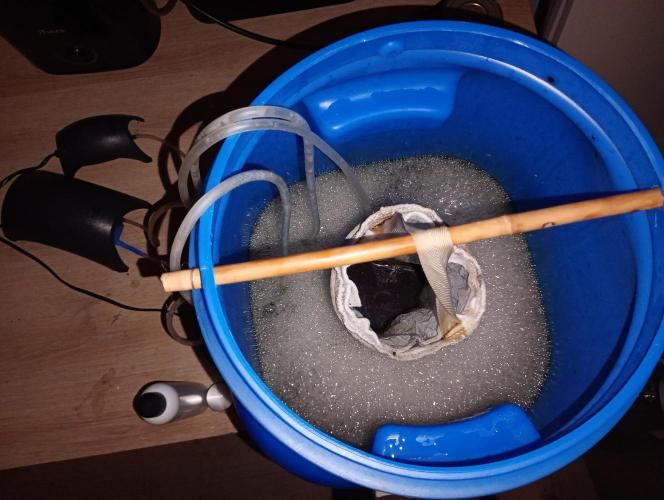 Eight amazing strains in a 4x4 / ORGANIC. Week 5 - OCT Recipe worm casting, molasses, spirulina, kelp, azomite, beer yeast, fish...