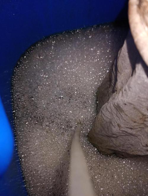 Eight amazing strains in a 4x4 / ORGANIC. Week 5 - I run my OCT for 24h through a 400 micron mesh tea bag. Every 2 weeks.