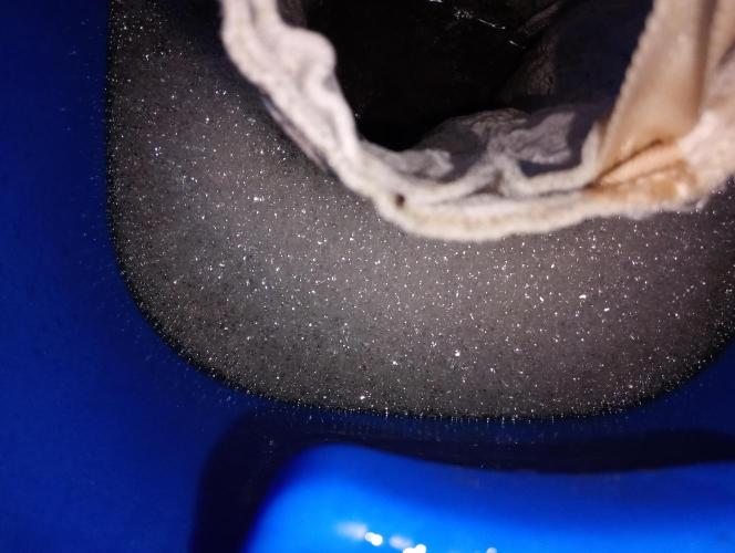 Eight amazing strains in a 4x4 / ORGANIC. Week 5 - OCT helps to create billions of beneficial bacterias and fungi. Insane growth !