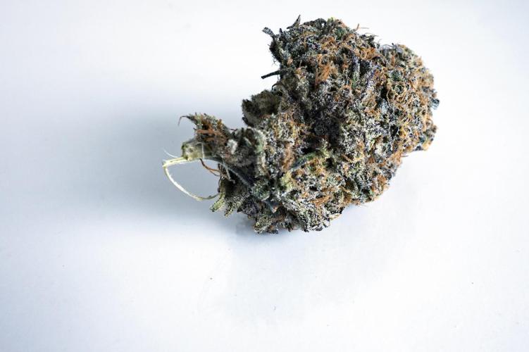 Eight amazing strains in a 4x4 / ORGANIC. Week 14