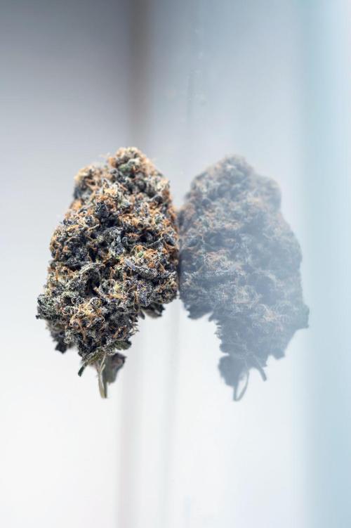 Eight amazing strains in a 4x4 / ORGANIC. Week 14