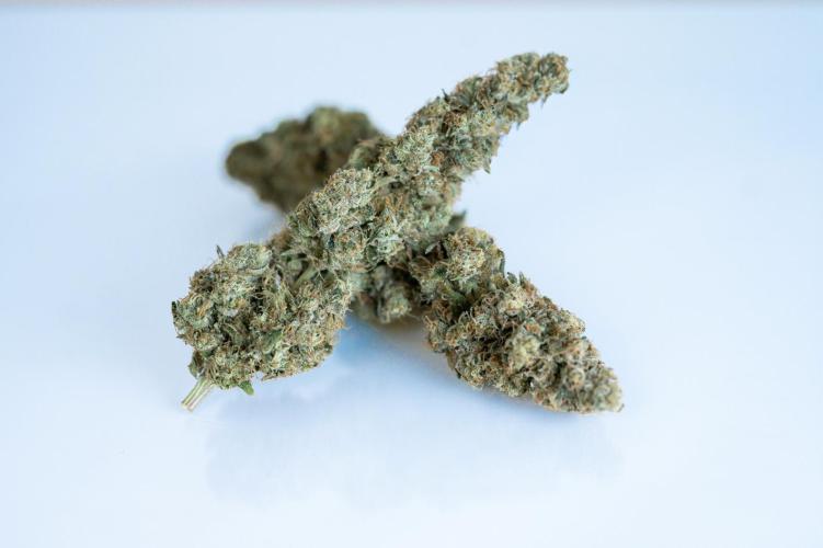 Eight amazing strains in a 4x4 / ORGANIC. Week 14