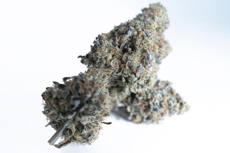 Eight amazing strains in a 4x4 / ORGANIC. Week 14