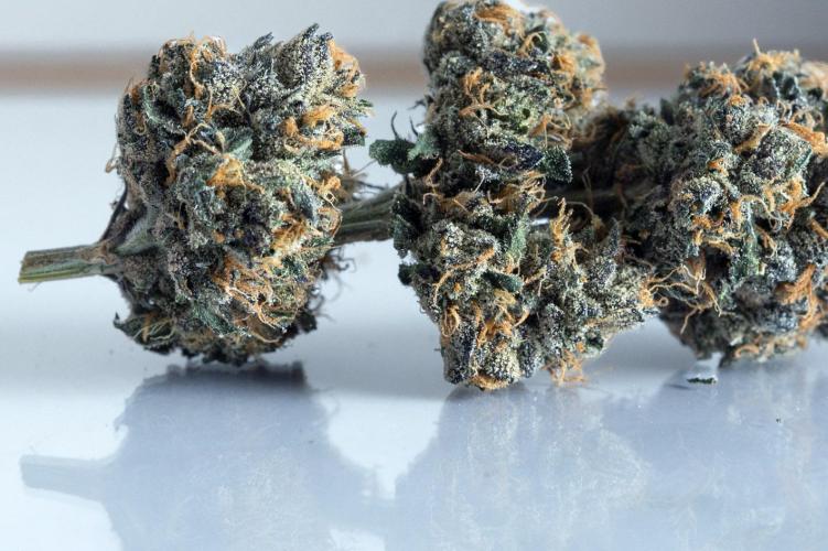 Eight amazing strains in a 4x4 / ORGANIC. Week 14