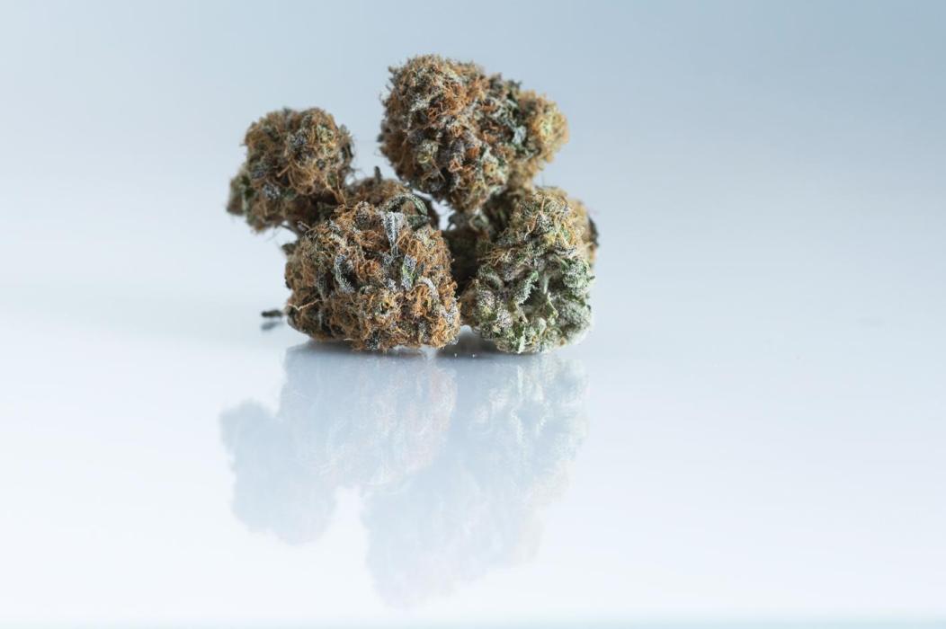 Eight amazing strains in a 4x4 / ORGANIC. Week 14