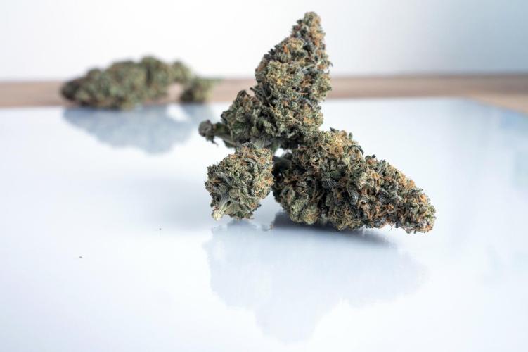 Eight amazing strains in a 4x4 / ORGANIC. Week 14