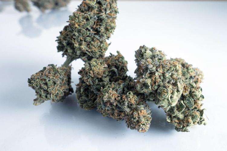 Eight amazing strains in a 4x4 / ORGANIC. Week 14