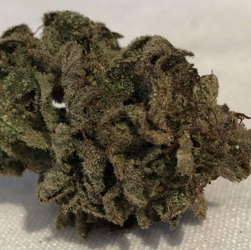 Hawaiian Puff Clone 2020 (I). Week 27