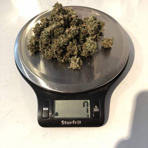 Hawaiian Puff Clone 2020 (I). Week 27