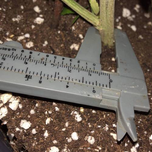 Trainwreck Clones 2020 (V & VI). Week 11