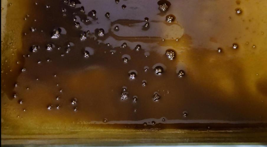 Cherry Zoap. Week 16