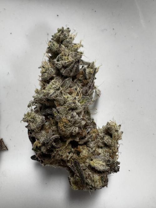 Grounded Genetics New Drops. Week 14