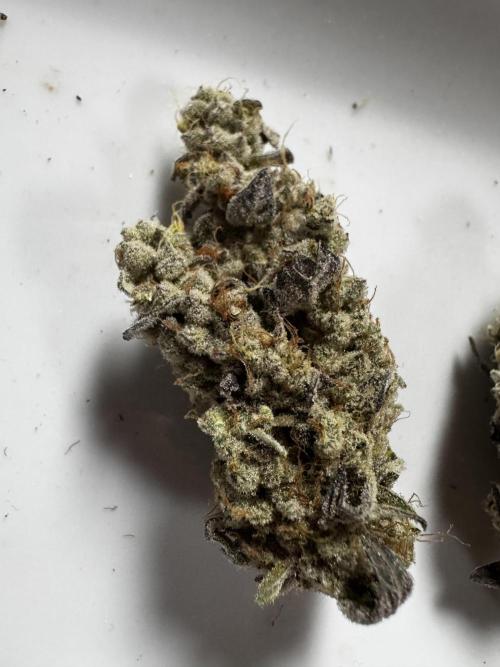 Grounded Genetics New Drops. Week 14