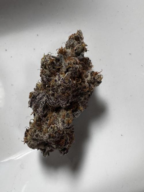 Grounded Genetics New Drops. Week 14