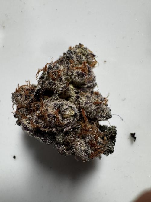 Grounded Genetics New Drops. Week 14