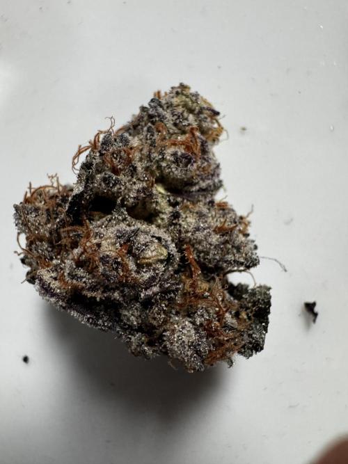 Grounded Genetics New Drops. Week 14