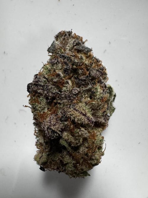 Grounded Genetics New Drops. Week 14