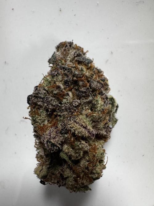 Grounded Genetics New Drops. Week 14