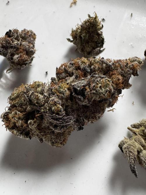 Grounded Genetics New Drops. Week 14