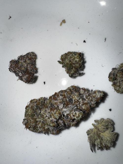 Grounded Genetics New Drops. Week 14