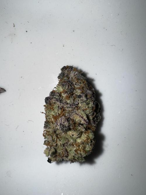 Grounded Genetics New Drops. Week 14