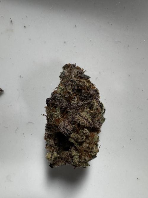 Grounded Genetics New Drops. Week 14