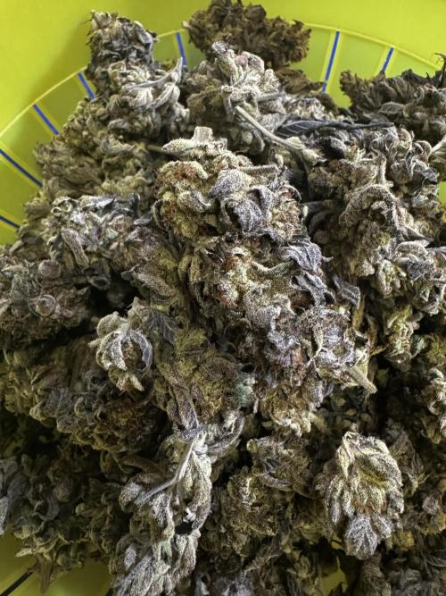 Cap Junky. Week 17