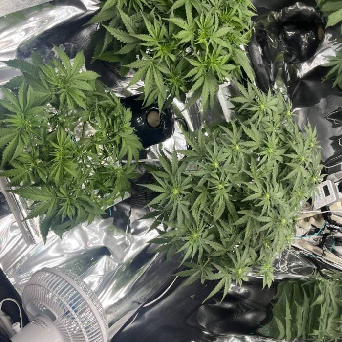 イプシロンf1. Week 1 - DAY34