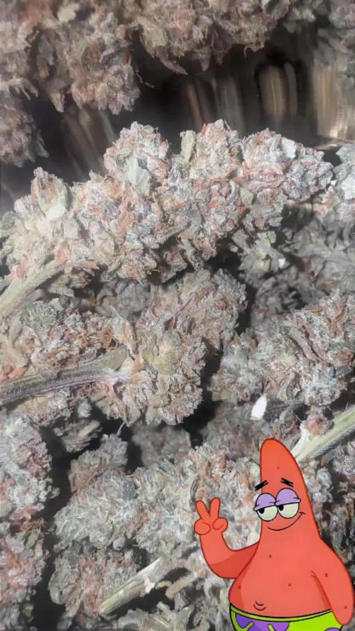 Papaya Cookie FB Auto