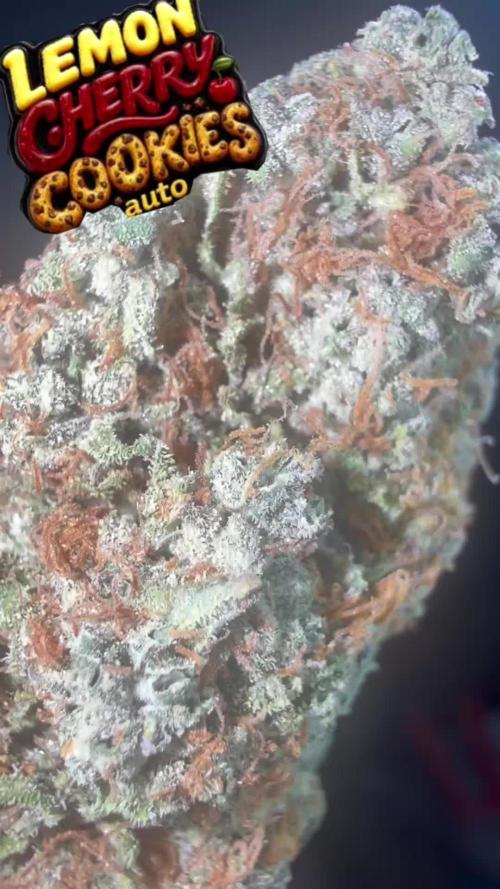 Lemon Cherry Cookies FB Auto