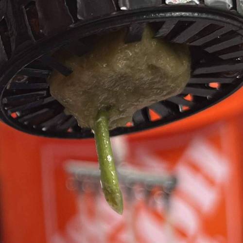 Zer labs startups. Week 1 - Plant A