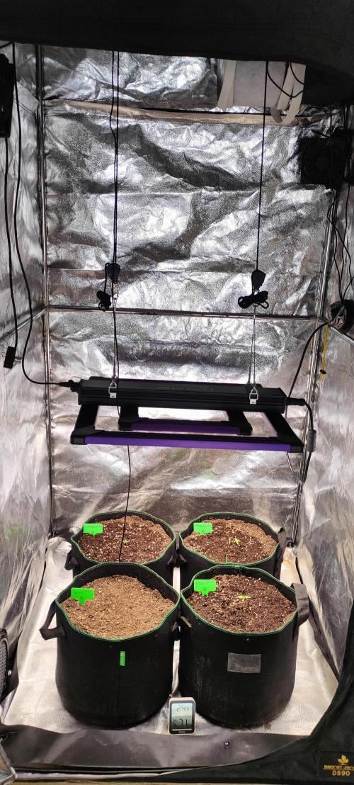 RQS F1: Hyperion and Titan. Week 1