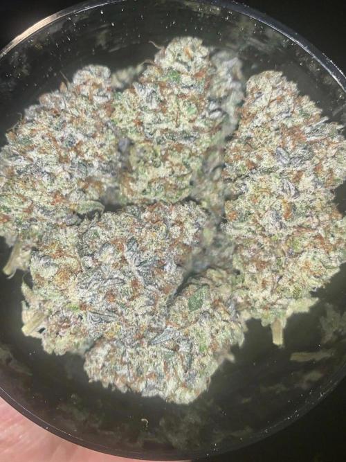 Cereal Milk (Clone). Week 9