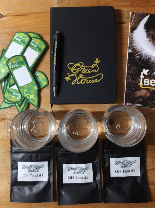 Green House Seed Co. Blind Drop. Week 0 - 29.09