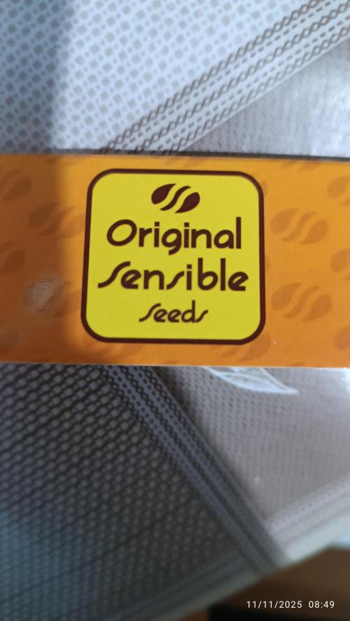 Prova nuova terapia CREAMZILLA. Week 0