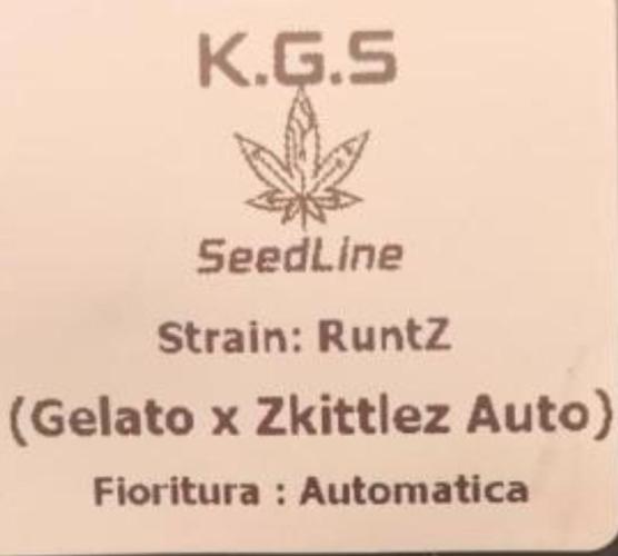 Runtz korngarden Shop. Week 0