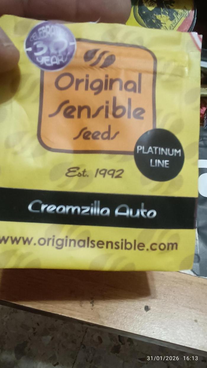 Creamzilla auto. Week 0 - inizio Conta delle settimane 