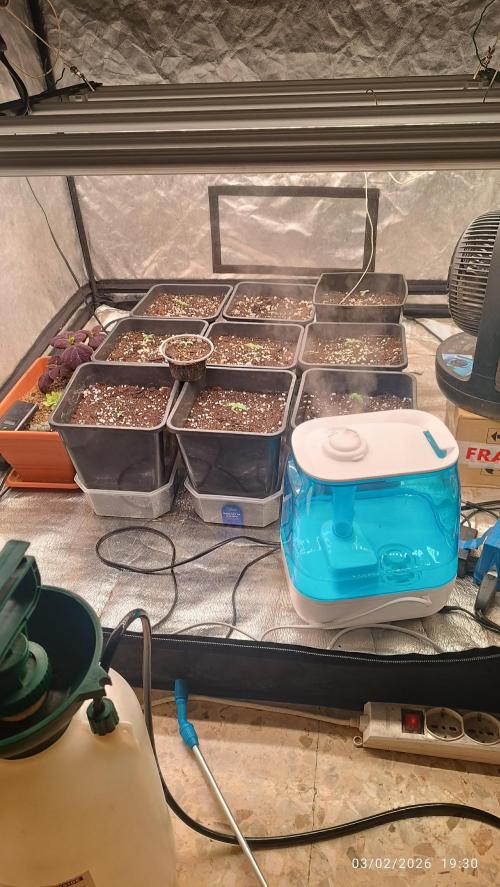 incredibile Hulk. Week 1