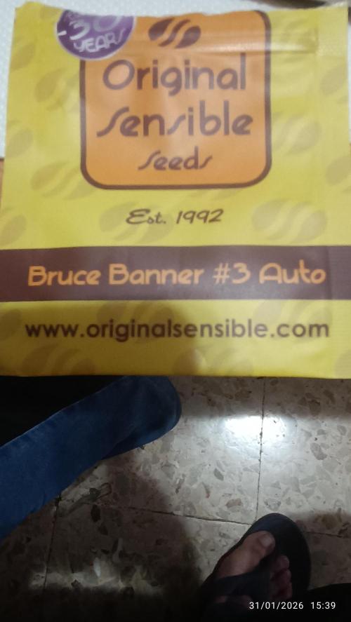 incredibile Hulk. Week 1