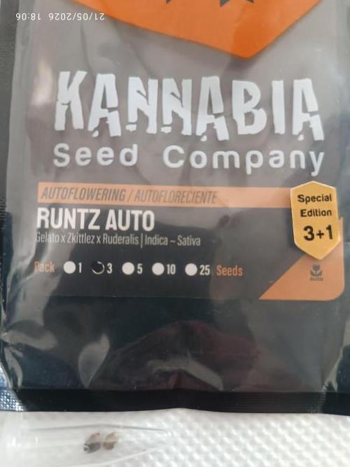 runtz KANNABIA. Week 0