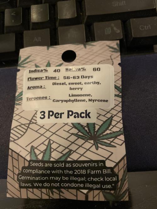 Bruce Banner #3 Elite Clone Seed Company. Week 0