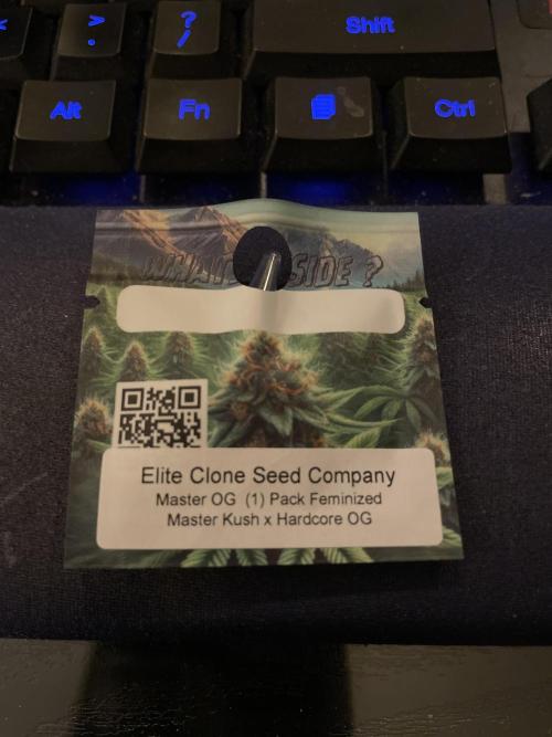 Master OG Elite Clone Seed Company. Week 0