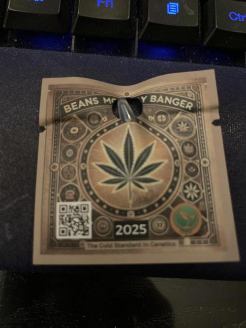 Master OG Elite Clone Seed Company. Week 0