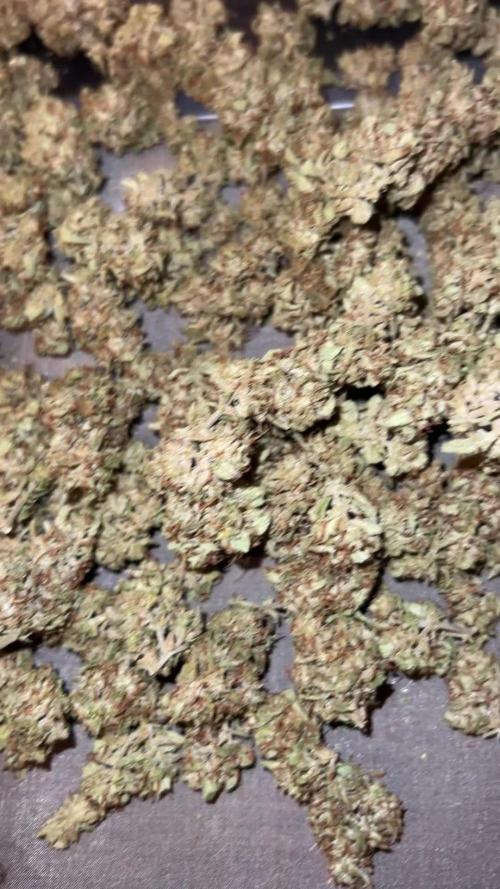 2024 Oklahoma Outdoor