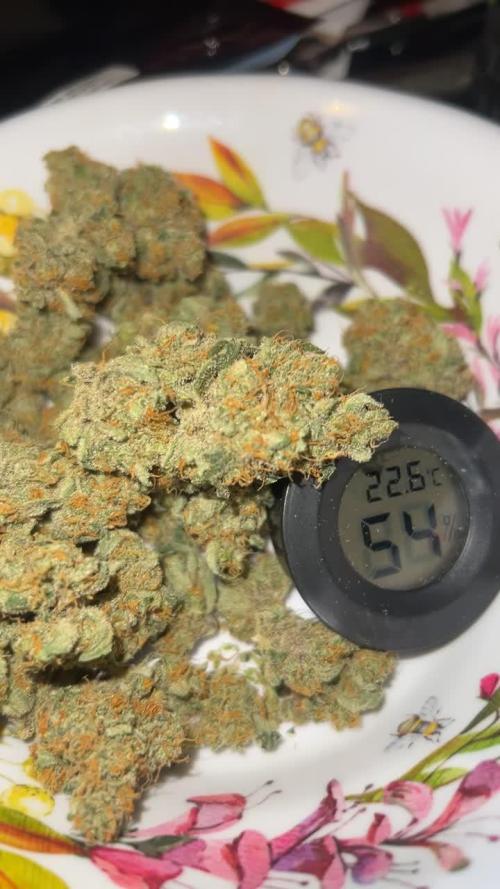 RQS Tropicana cookies purple, GDP