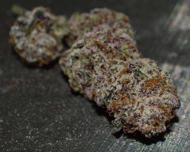 •WC×BBC • Lemonite•. Week 17