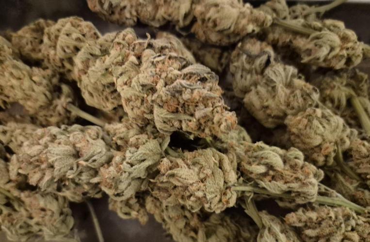 •WC×BBC • Lemonite•. Week 17