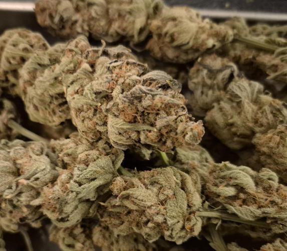 •WC×BBC • Lemonite•. Week 17