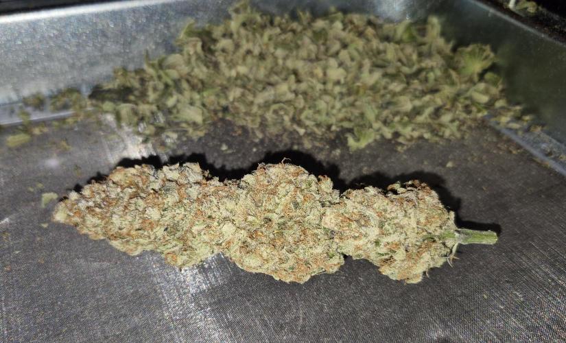 •WC×BBC • Lemonite•. Week 17